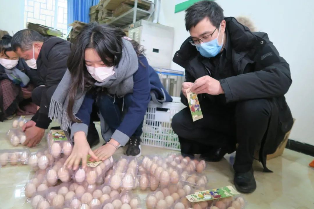 海椒种植技术视频_海椒的种植技术_怎样种海椒苗