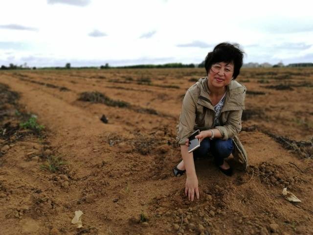 地豆种植技术视频_种植大豆视频_豆类栽培技术