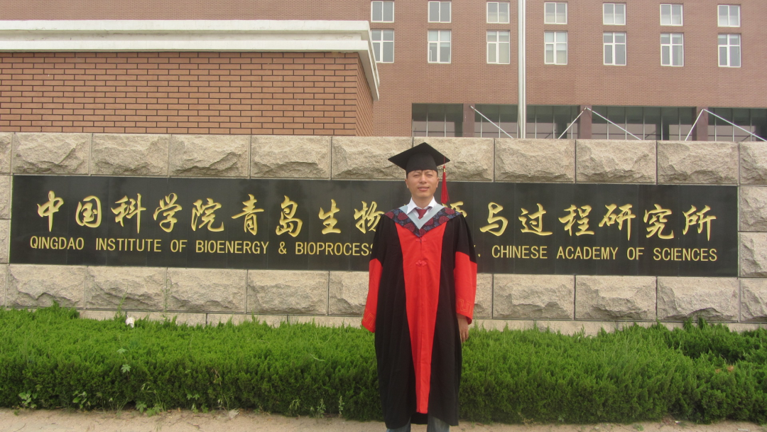 致富种植榛子图片_致富经种植榛子_致富种植榛子视频