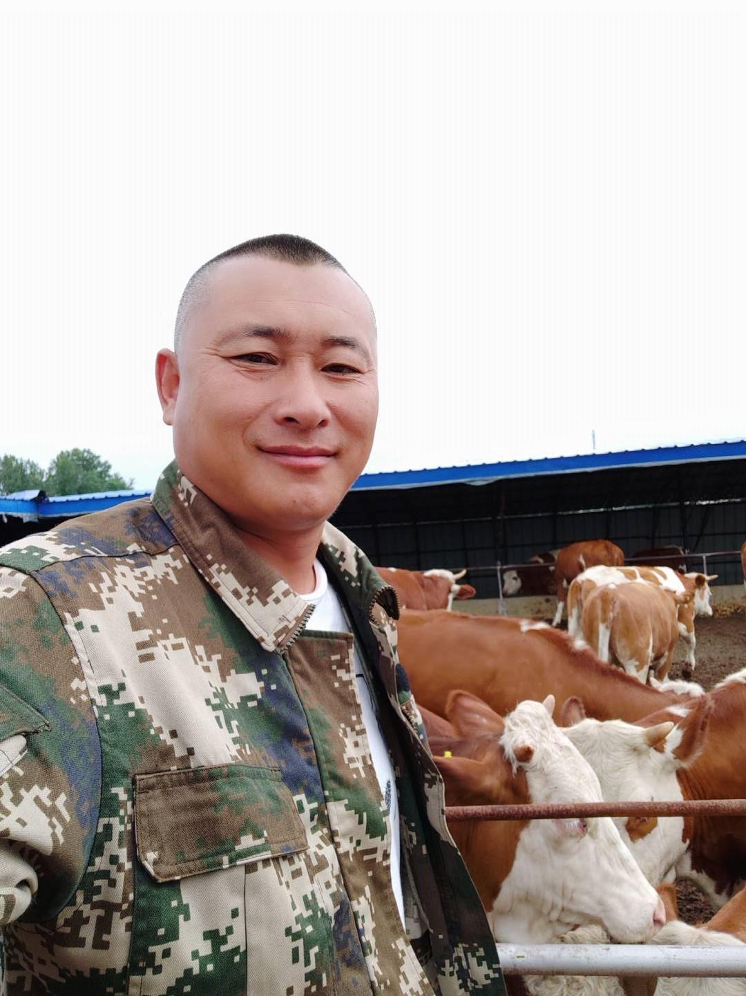 全国各地养牛人普遍反映吉林牛是最好的，就是应激反映不好处理