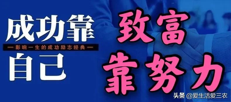 养殖致富项目 家庭_致富养殖家庭项目介绍_致富养殖业