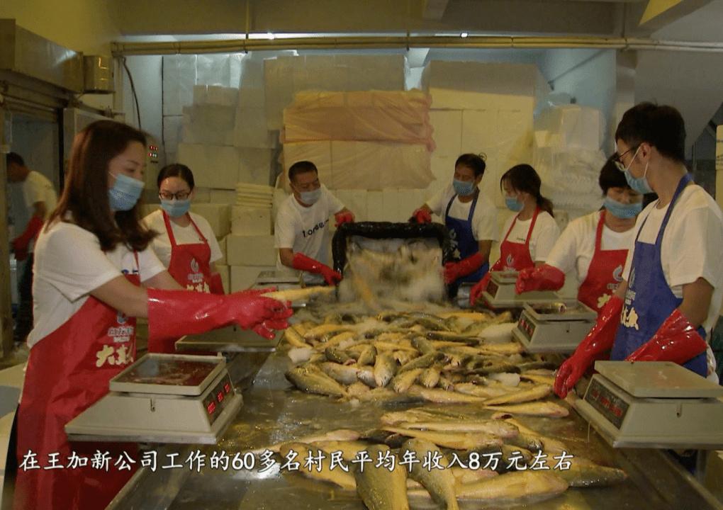 致富养殖家庭项目介绍_致富养殖业_养殖致富项目 家庭