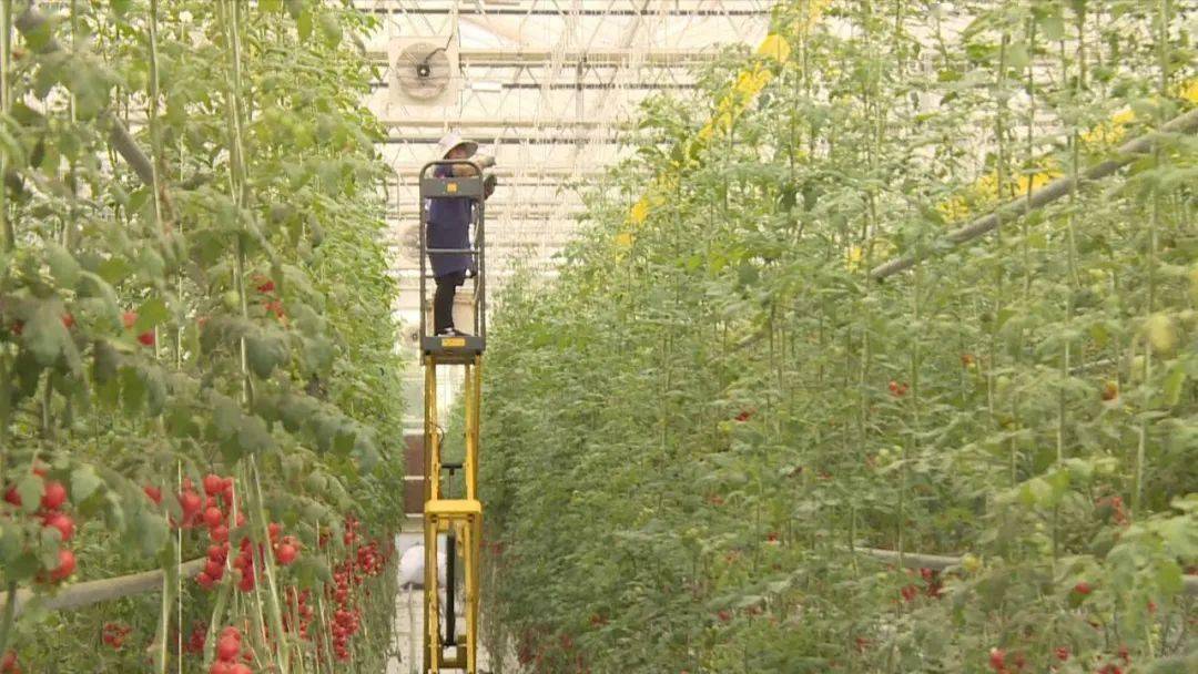 舒城县养殖补贴名单_舒城养殖致富_致富养殖项目