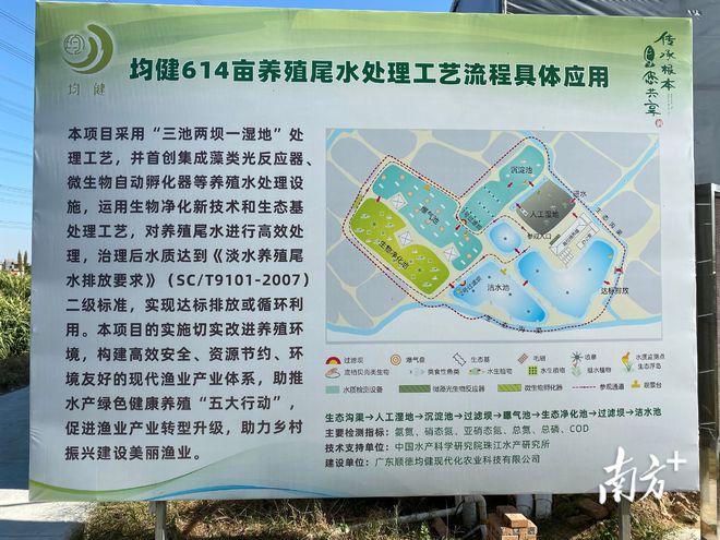 养殖鱼现代技术有哪些_现代化养殖鱼_现代养殖鱼技术