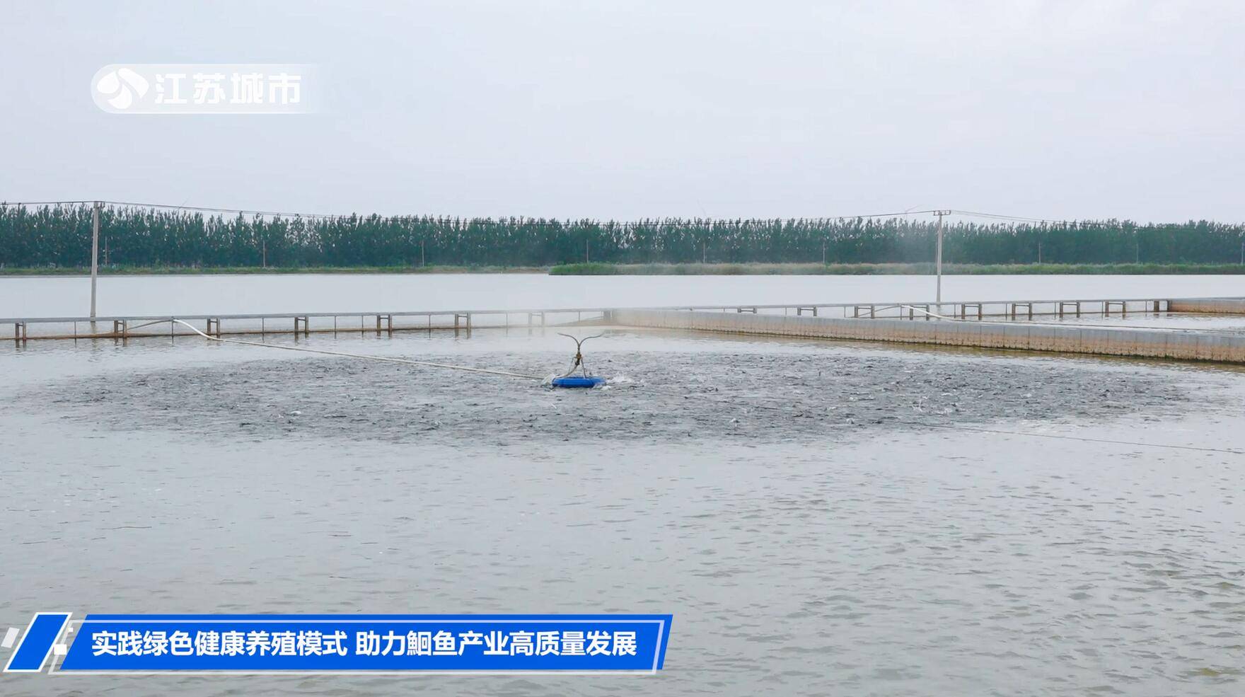 养殖鱼现代技术研究_现代养殖鱼技术_现代养鱼技术大全