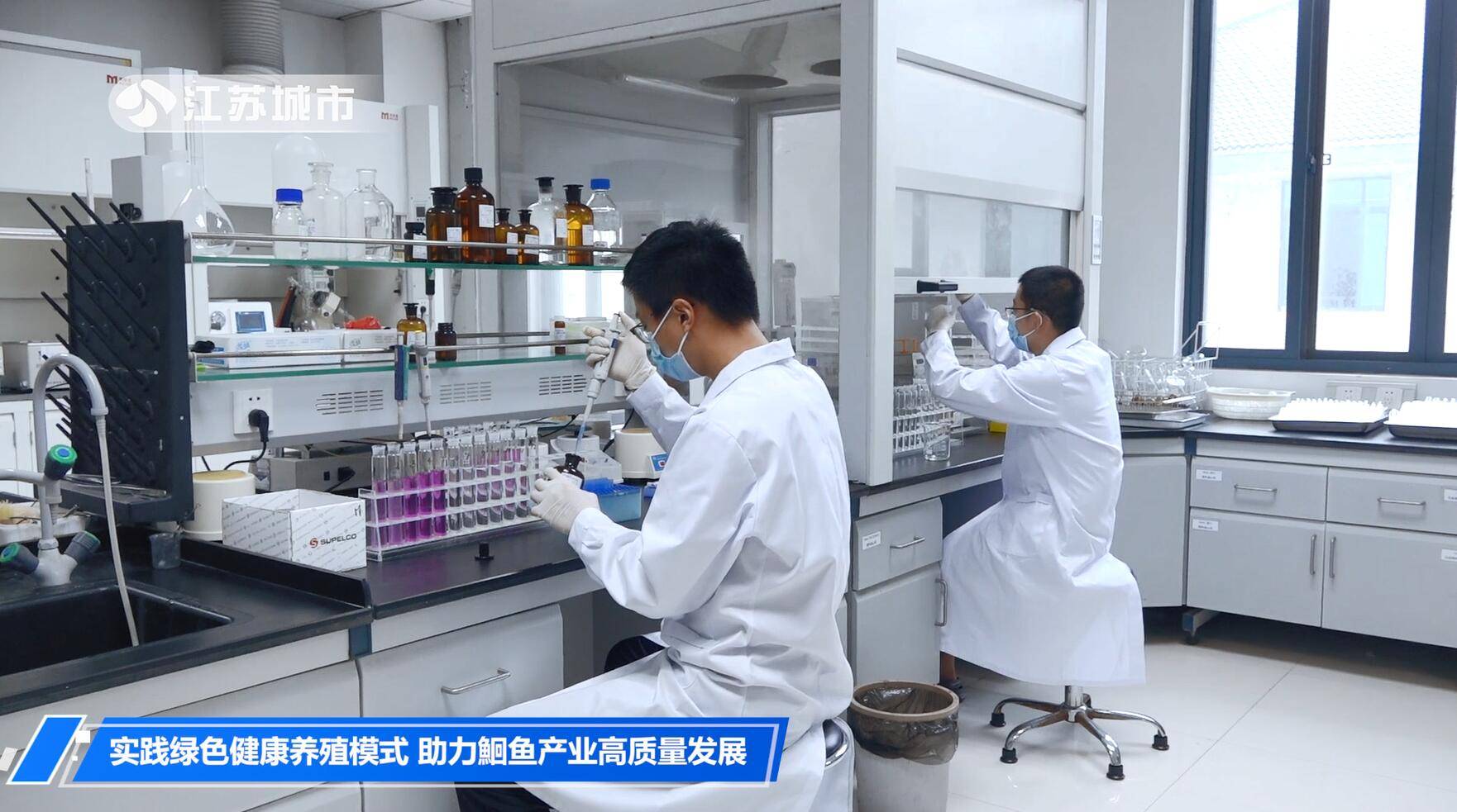现代养鱼技术大全_现代养殖鱼技术_养殖鱼现代技术研究