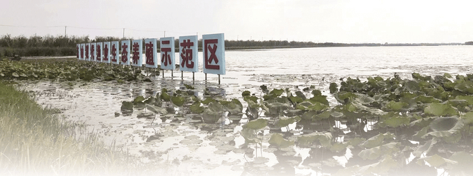 养殖鱼现代技术发展趋势_现代养殖鱼技术_养殖鱼现代技术有哪些