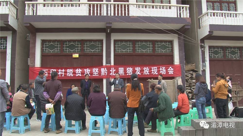 黑龙江黑猪养殖_双鸭山养猪场_双鸭山养殖黑猪致富