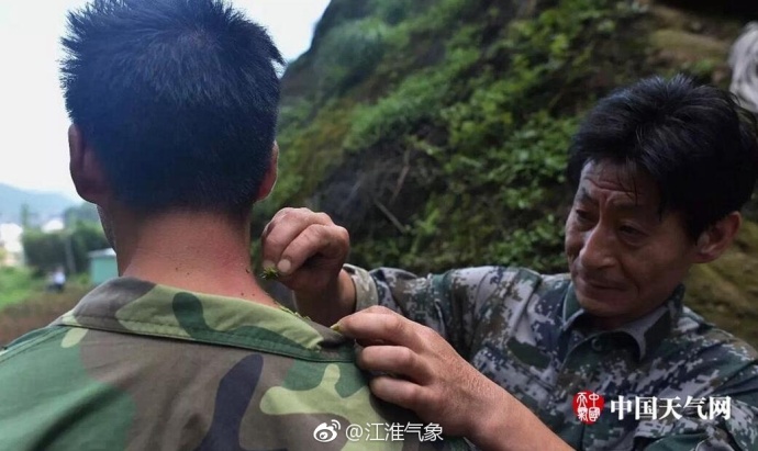 致富经铁皮石斛视频_铁皮石斛项目_铁皮石斛致富经一万元一斤