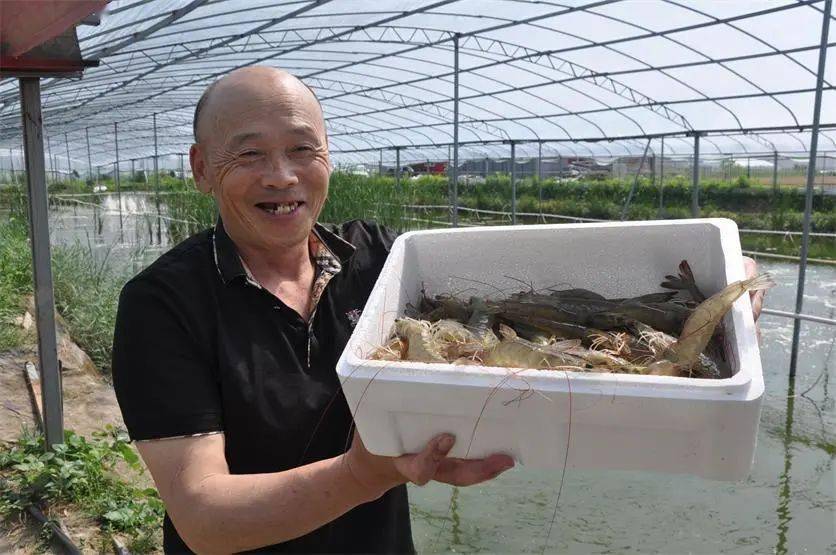 致富经养河虾_致富经养虾李忠_致富经虾