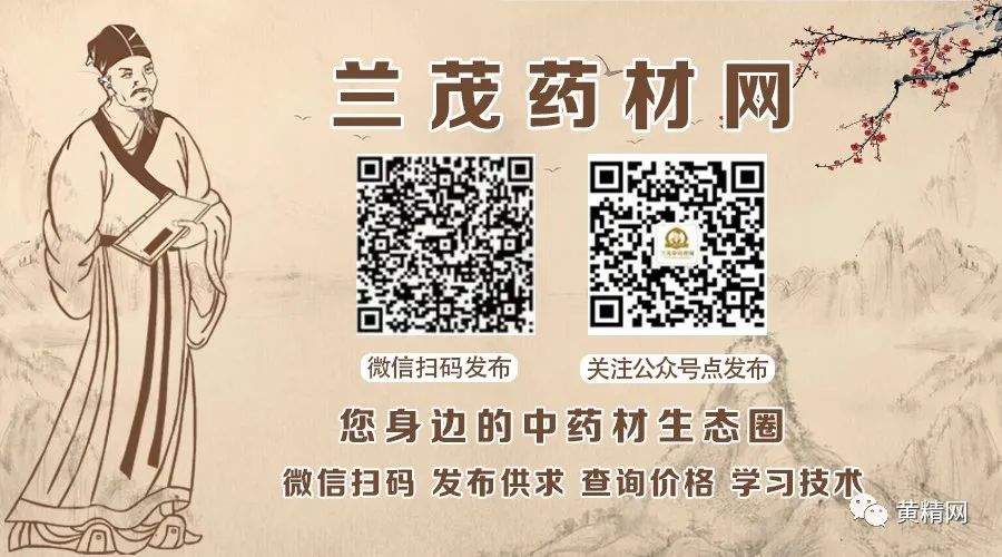 云南重楼种植技术视频_云南中华重楼种植技术_云南重楼种植情况