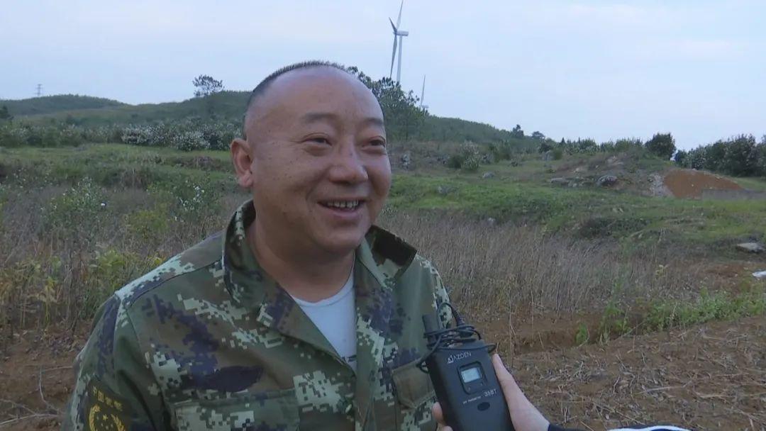 玉竹种植要求_玉竹栽培管理技术_玉竹的种植技术和管理