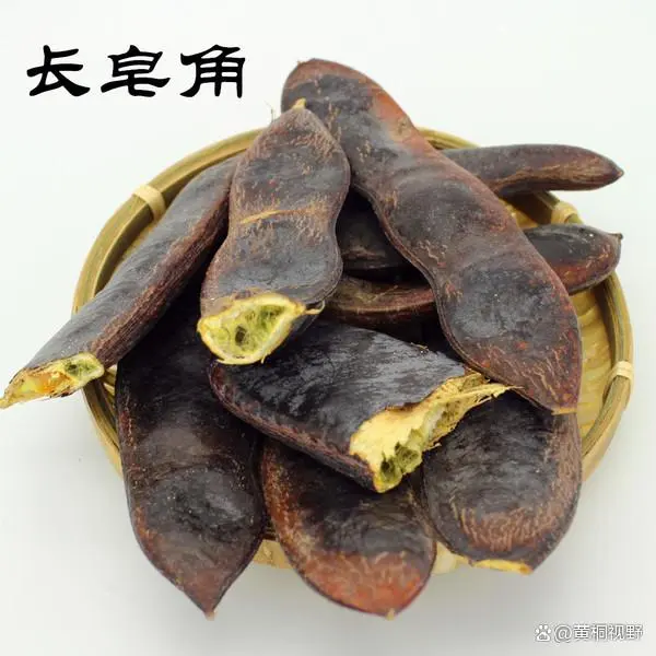 三农致富项目_三农致富经种植项目_致富三农种植