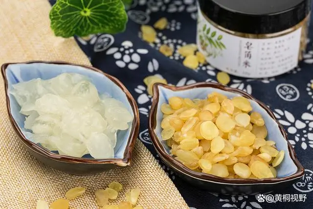 三农致富经种植项目_致富三农种植_三农致富项目