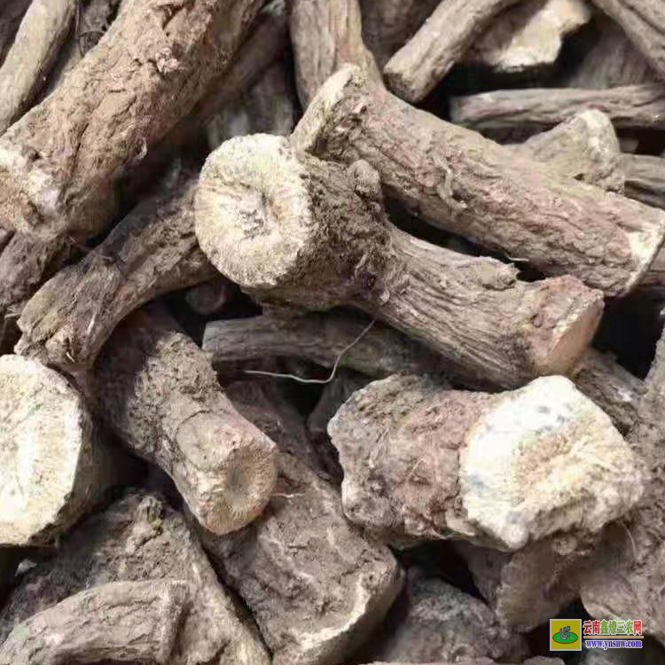 马龙重楼种植_重楼价钱是多少钱一斤？有什么作用与功效？