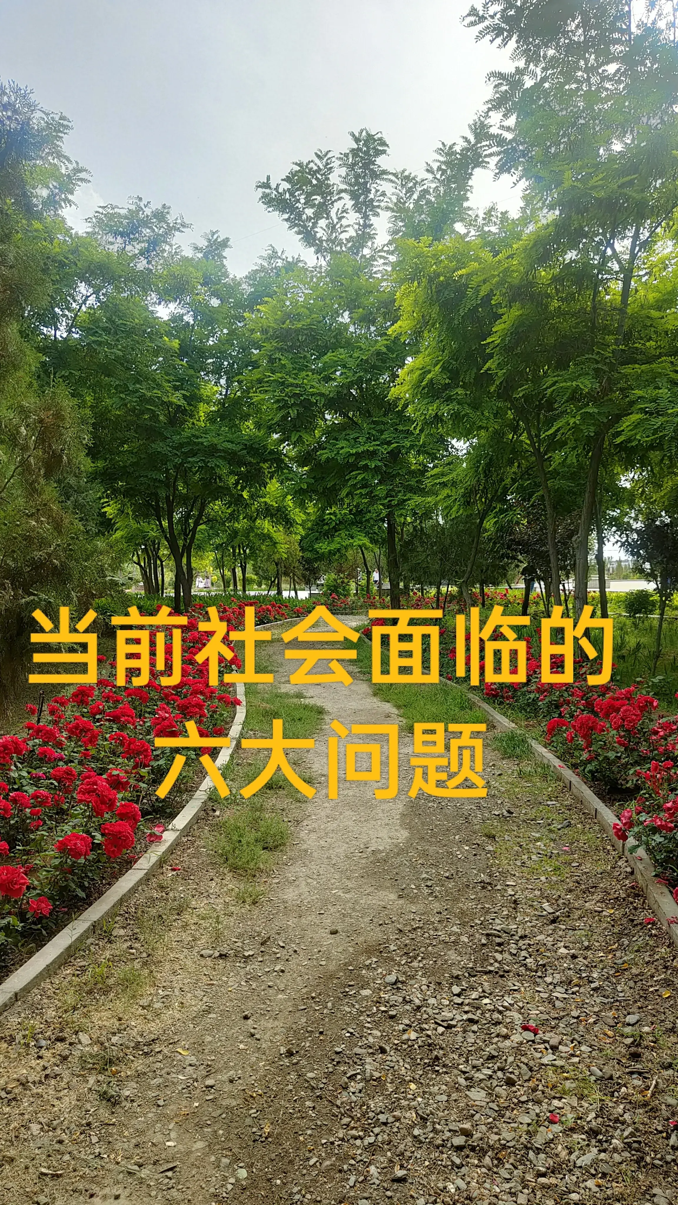 当前社会面临的六大问题：食品安全、人口老龄化、教育成本高