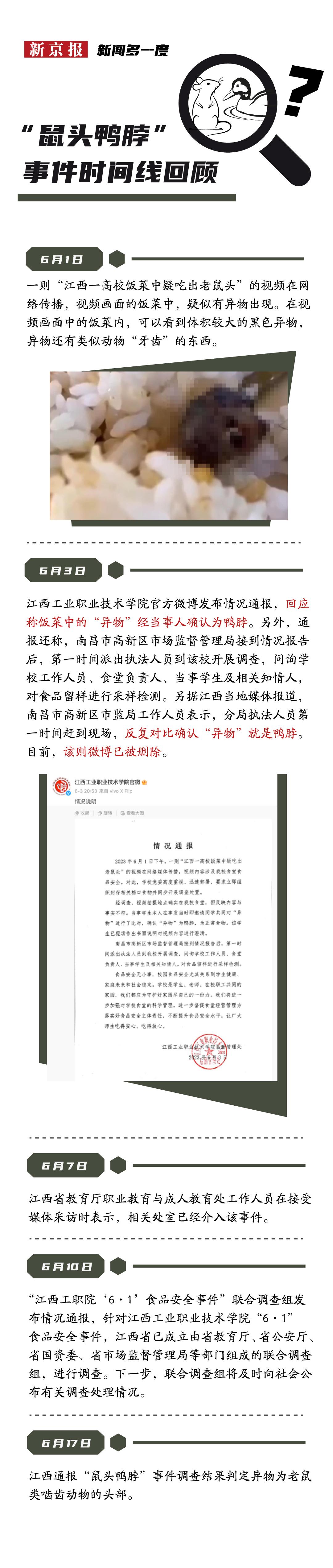 懒鼠养殖致富_致富经松鼠养殖_致富经肥猪懒养
