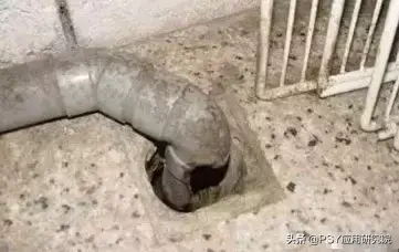 致富经肥猪懒养_懒鼠养殖致富_致富经山鼠养殖