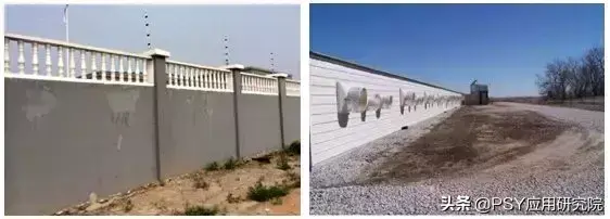 懒鼠养殖致富_致富经肥猪懒养_致富经山鼠养殖