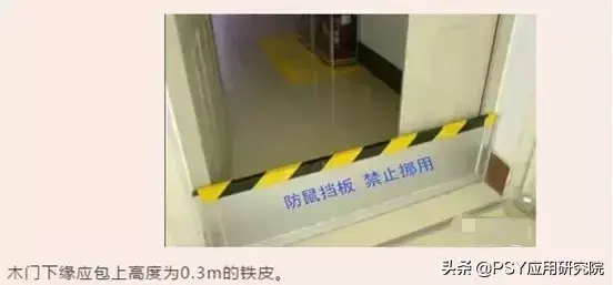 致富经山鼠养殖_懒鼠养殖致富_致富经肥猪懒养