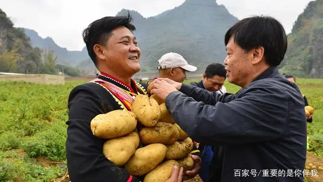 土豆高产栽培技术视频_最新土豆种植技术视频_高产土豆种植技术视频