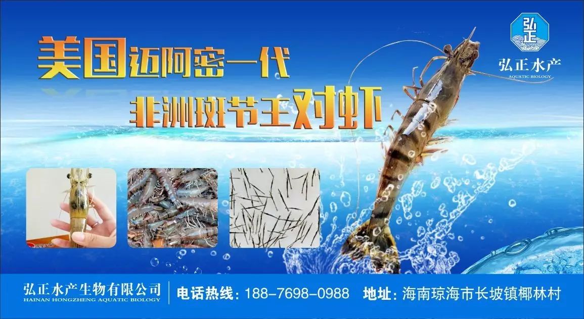 四种“财”鱼养殖模式，哪一种更适合你呢？