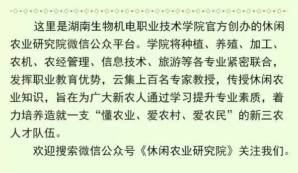 金樱子种植技术和管理_金樱子种植技术视频_金樱子种植