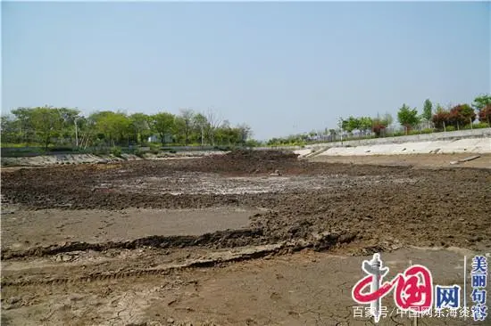 致富养殖好项目大全_致富养殖户做法经验总结_养殖户致富的经验做法