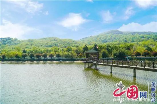 养殖户致富的经验做法_致富养殖好项目大全_致富养殖户做法经验总结