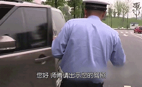农民养马致富_养马致富经_致富经养殖马