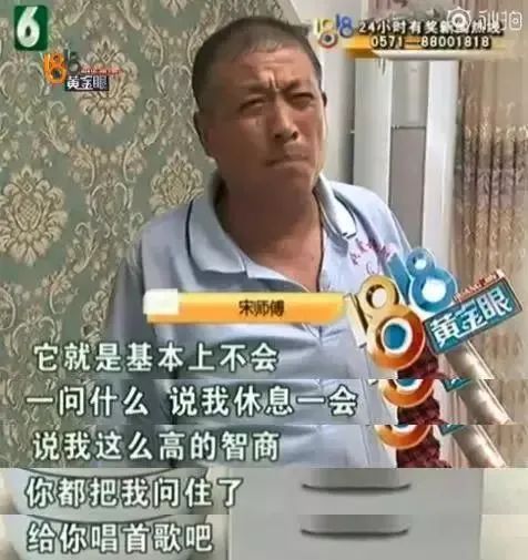 养马致富经_农民养马致富_致富经养殖马