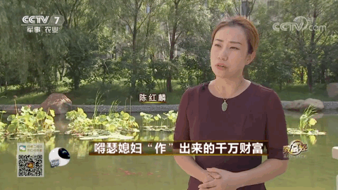 致富经养殖马_养马致富经_农民养马致富