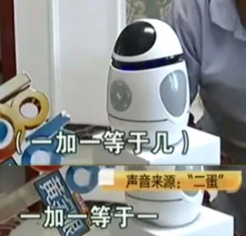 致富经养殖马_农民养马致富_养马致富经
