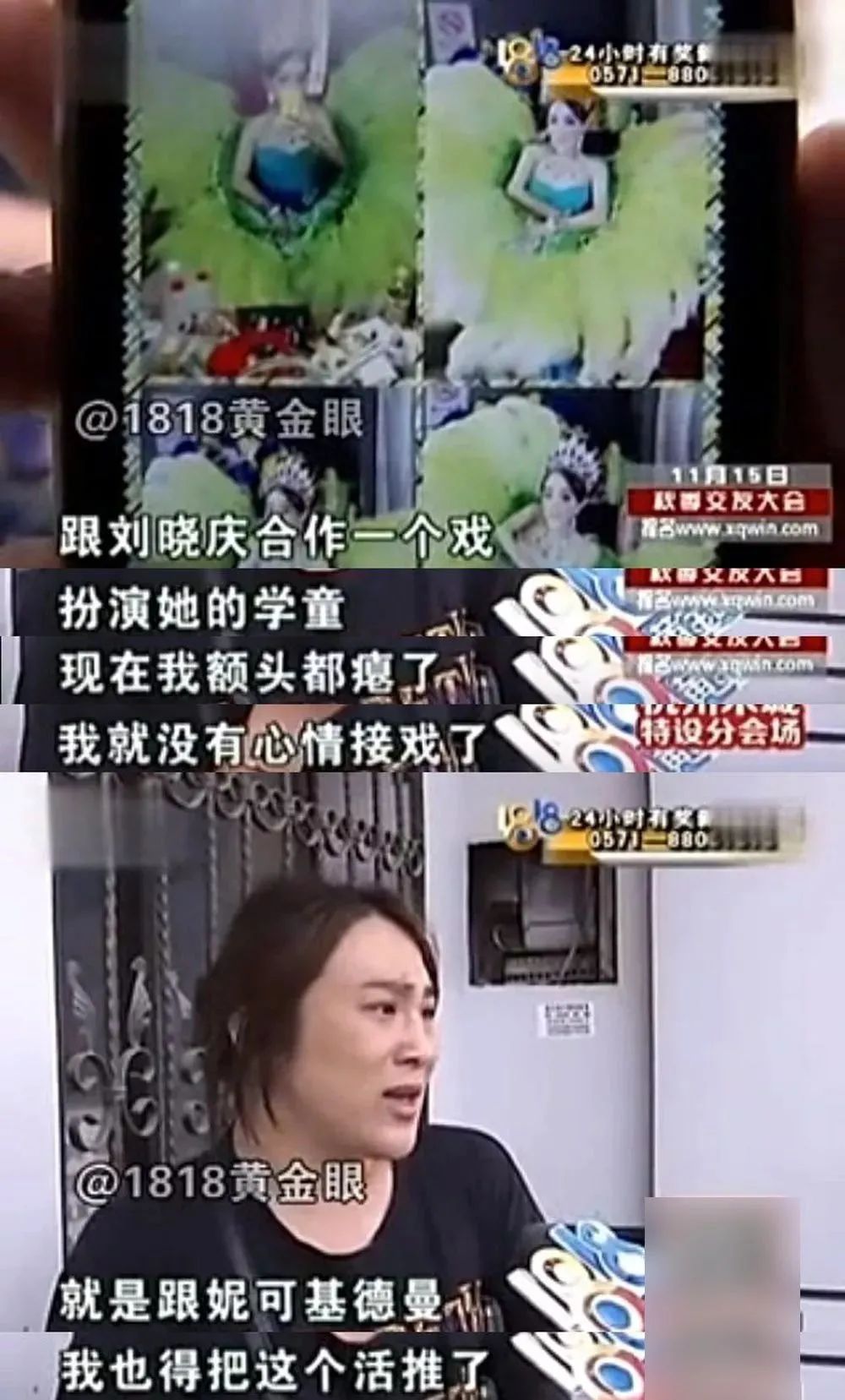致富经养殖马_农民养马致富_养马致富经