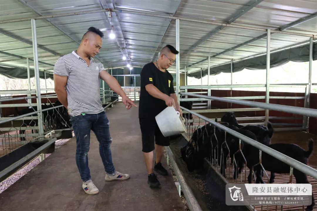 致富养殖户做法经验总结_养殖户致富的经验做法_致富养殖业