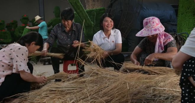 秸秆养猪技术_央视发酵秸秆喂猪_致富经秸秆养猪视频