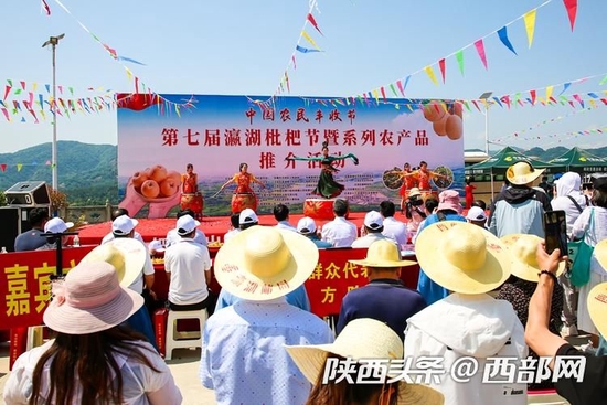 如何种植枇杷果_枇杷果怎么种植技术_种植果枇杷技术要求