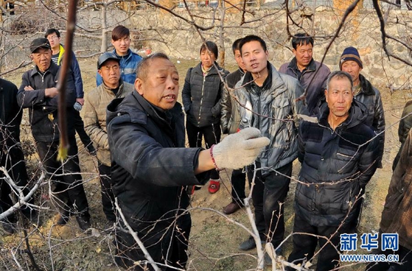 致富野菜种植农民收入多少_农民种植野菜致富_致富经野菜种植