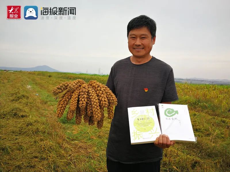 羊粪种植致富之路_致富养羊_致富经养殖羊视频