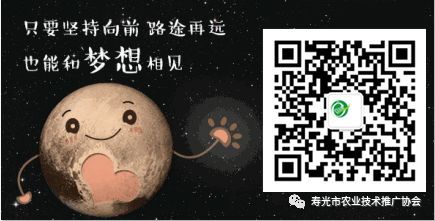 专业建养殖大棚_养殖大棚怎么搭建视频_养殖大棚建造技术视频