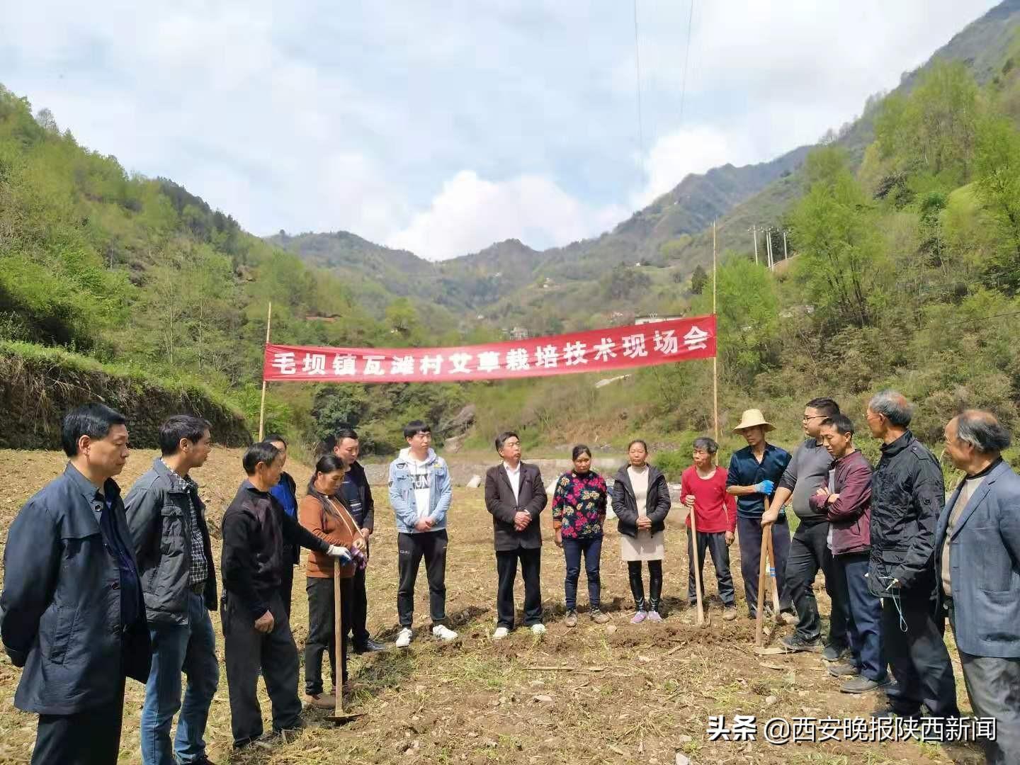 腊肉赚钱吗_腊肉挣多少钱_致富经腊肉