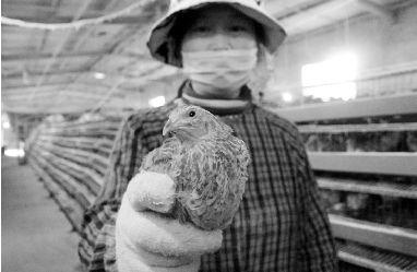 腊肉创业_腊肉生意前景怎样_致富经腊肉