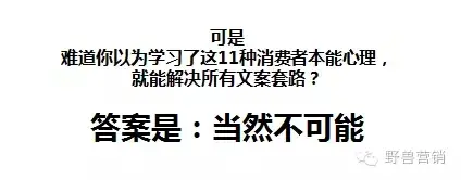 49.webp