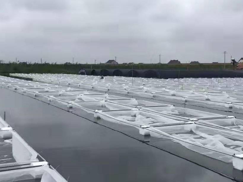 养殖水蛭技术大全视频_养殖水蛭技术书_水蛭养殖技术1