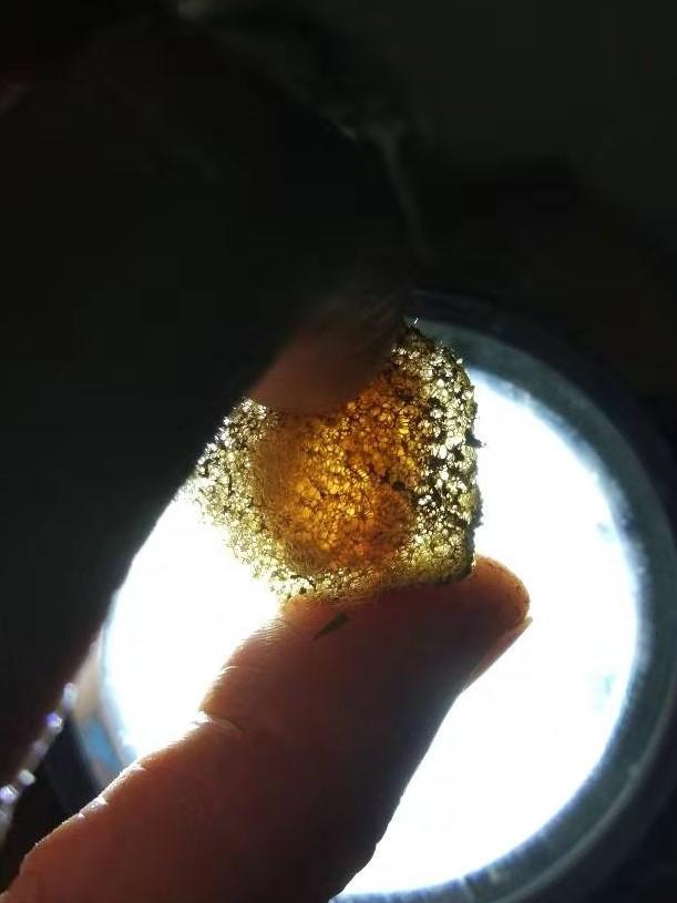 养殖水蛭技术大全视频_水蛭养殖技术1_养殖水蛭技术书