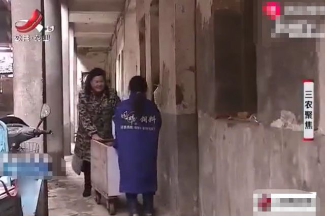 美女富翁竟是鹌鹑大王 教会100户村民养殖致富：一年最少赚10万！