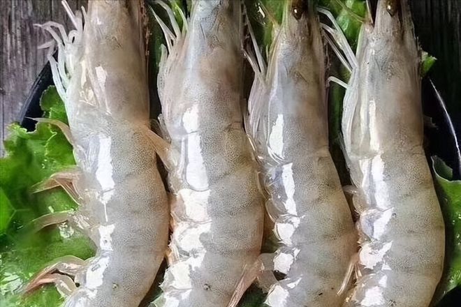 大叔在没海的北京养海虾，一年竟赚800多万元，他是如何做到的?