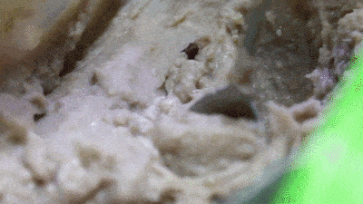 芋头种植方法视频播放_芋艿头种植技术_种植芋头的方法