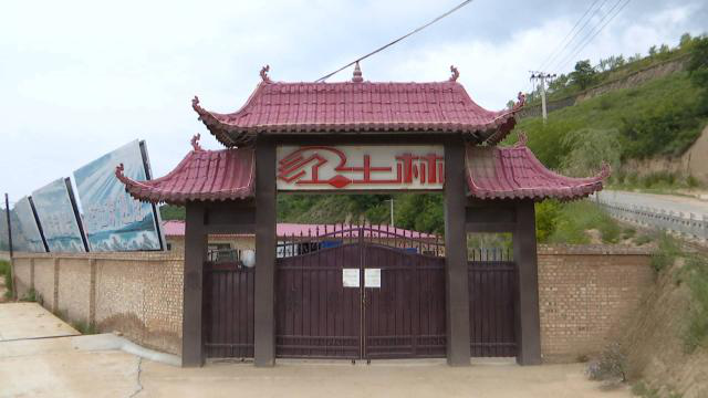 鹌鹑规模养殖致富_河南鹌鹑养殖_民权鹌鹑养殖致富