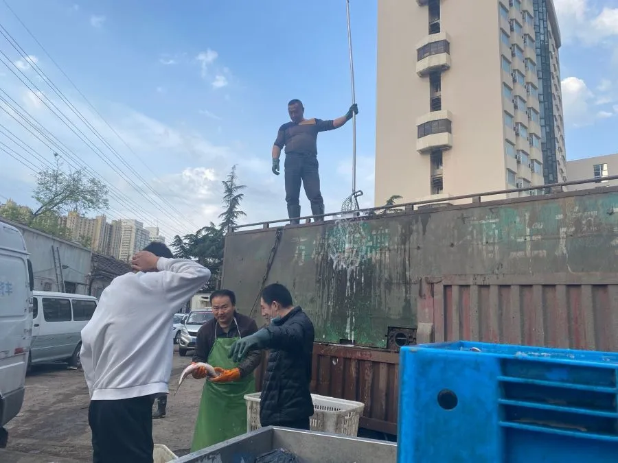 淡水养殖鱼_靠养淡水鱼致富经_淡水养殖鱼纯利润大约多少